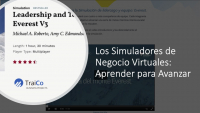 Taller - Webinar Los Simuladores Virtuales de Negocio: Aprender para Avanzar